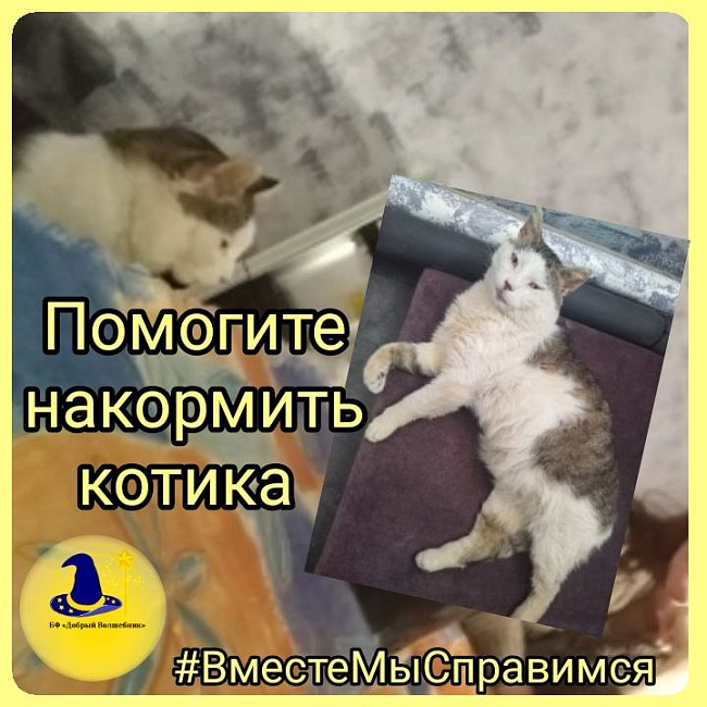 ПОМОГИТЕ НАКОРМИТЬ НАШЕГО ЦАРЯ!