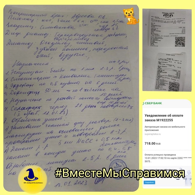 Фонд приютил очаровательного кота с тяжелой судьбой🐈